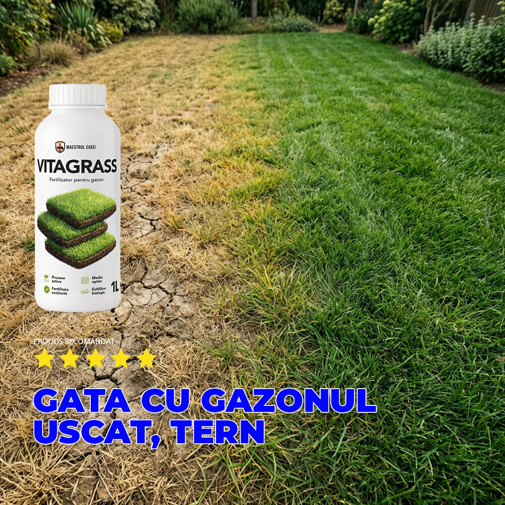 VITAGRASS – Fertilizator bio pentru gazon | 1L