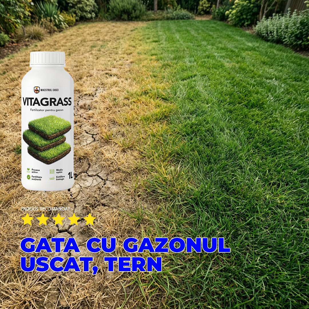 VITAGRASS – Fertilizator bio pentru gazon | 1L